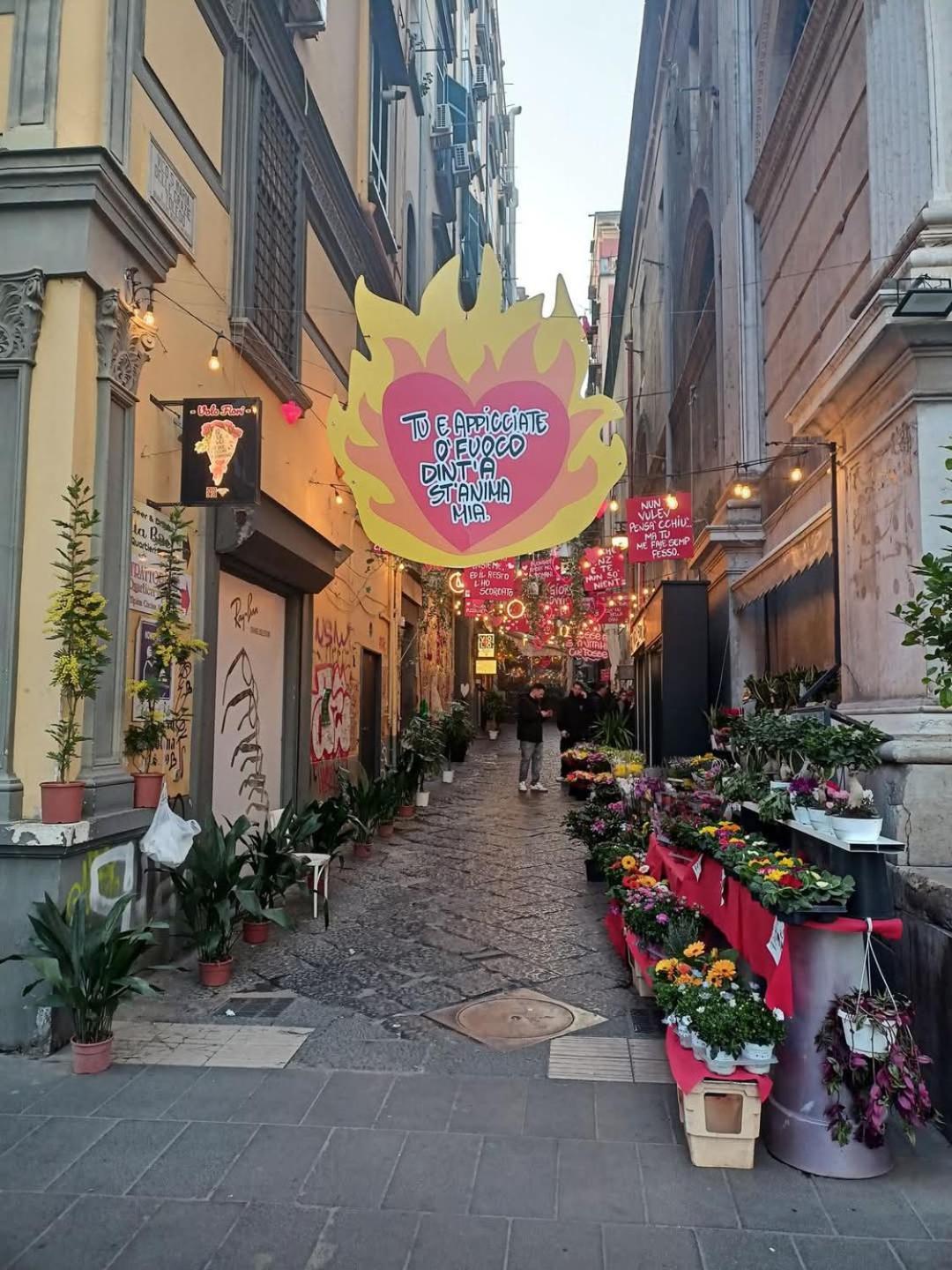 Hébergement de vacances Casa Da Enza A Toledo
